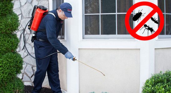 Akpınar Bit İlaçlama böcek ilaçlama ve haşere kontrolü — ilaclama-tr.com